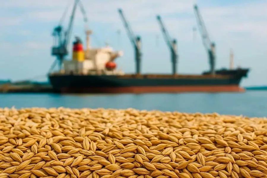 Escena agroindustrial para Cooperativas y Exportadoras
