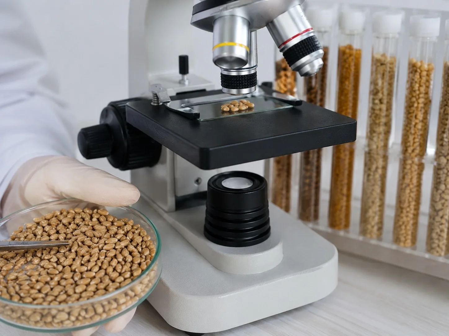Escena agroindustrial para Laboratorios Privados